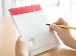 Kapan Jadwal Masuk Kerja dan Sekolah Setelah Libur Lebaran 2025?